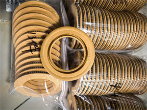 Polyimid Lip Seal PTFE Lip Seal Spring Energized Seal for Rubber Oil Seal của máy bơm ly tâm với hiệu suất cao