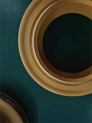 Polyimid Lip Seal PTFE Lip Seal Spring Energized Seal for Rubber Oil Seal của máy bơm ly tâm với hiệu suất cao