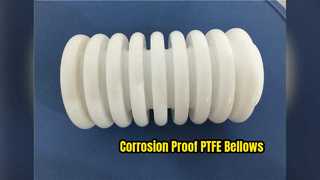 Thiết bị hóa học chống ăn mòn cực cao PTFE Bellows