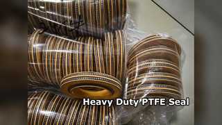 Con dấu dầu hạng nặng PTFE