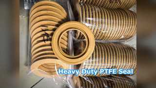 Con dấu dầu hạng nặng PTFE