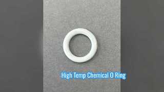 Con dấu hóa chất nhiệt độ cao FKM PTFE O Ring