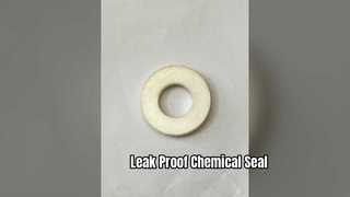 PTFE Gasket Seal chống rò rỉ hóa chất